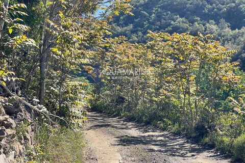 Villa a Dolceacqua, Imperia, Dolceacqua - € 320.000 | Ref: 7517 - foto 27