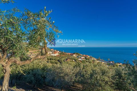 Villa i Cipressa, Imperia, Cipressa - € 625.000 | Ref: 13698 - foto 1