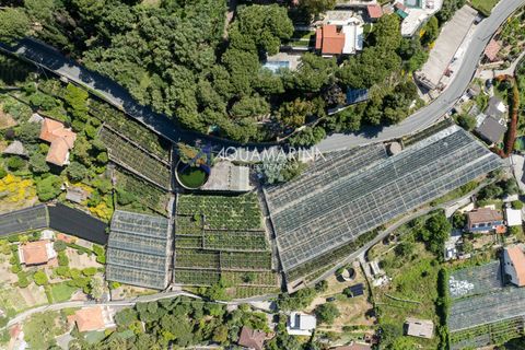 Helårsgrund i Sanremo, Imperia, Sanremo - € 180.000 | Ref: 13718 - foto 3