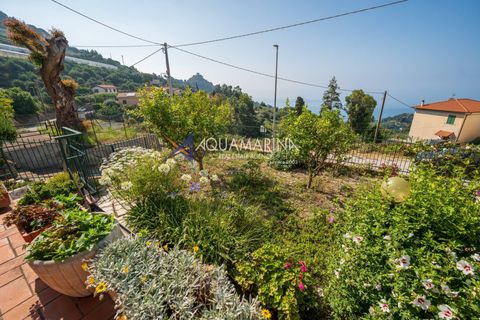 Lejlighed i Ventimiglia, Imperia, Ventimiglia - € 218.000 | Ref: 13781 - foto 2