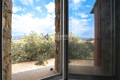 Villa a Terzorio, Imperia, Terzorio - € 900.000 | Ref: 13861 - foto 22