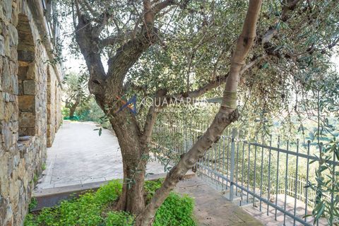 Villa a Terzorio, Imperia, Terzorio - € 900.000 | Ref: 13861 - foto 24