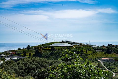 Villa a Terzorio, Imperia, Terzorio - € 900.000 | Ref: 13861 - foto 40