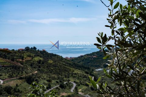 Villa a Terzorio, Imperia, Terzorio - € 900.000 | Ref: 13861 - foto 43