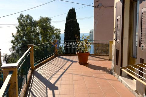 Villa a Ventimiglia, Imperia, Ventimiglia - € 440.000 | Ref: 13876 - foto 3