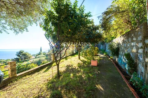 Villa a Ventimiglia, Imperia, Ventimiglia - € 440.000 | Ref: 13876 - foto 5