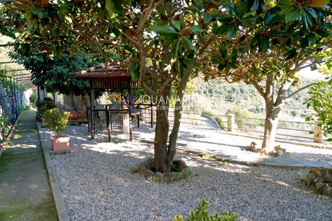 Villa a Ventimiglia, Imperia, Ventimiglia - € 440.000 | Ref: 13876 - foto 21