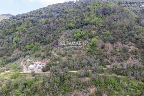 Villa a Apricale, Imperia, Apricale - € 160.000 | Ref: 13893 - foto 24