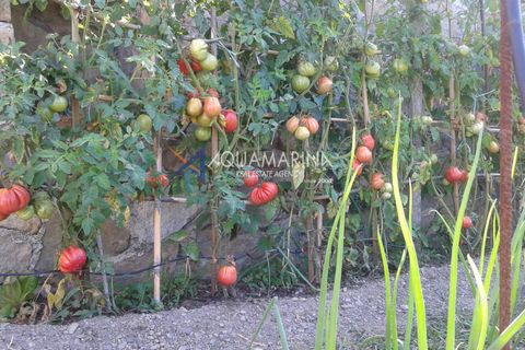 Villa a Apricale, Imperia, Apricale - € 160.000 | Ref: 13893 - foto 28