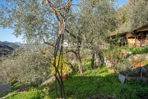 Villa a Apricale, Imperia, Apricale - € 160.000 | Ref: 13893 - foto 29