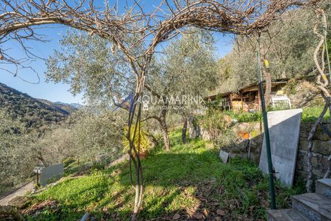 Villa a Apricale, Imperia, Apricale - € 160.000 | Ref: 13893 - foto 30