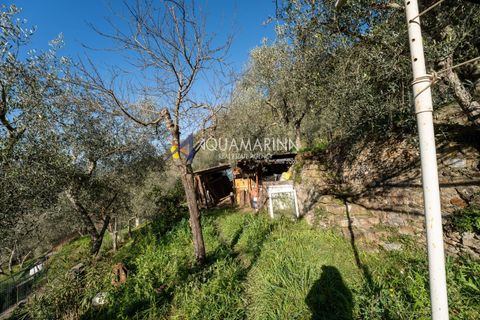 Villa a Apricale, Imperia, Apricale - € 160.000 | Ref: 13893 - foto 32