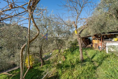 Villa a Apricale, Imperia, Apricale - € 160.000 | Ref: 13893 - foto 33