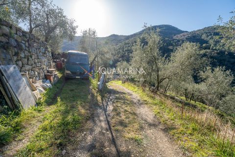 Villa a Apricale, Imperia, Apricale - € 160.000 | Ref: 13893 - foto 35