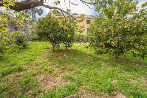 Villa i Sanremo, Imperia, Sanremo - € 390.000 | Ref: 13926 - foto 5