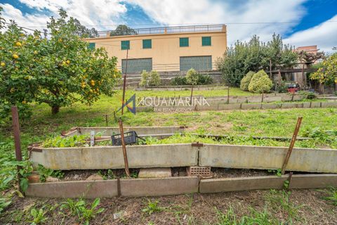 Villa i Sanremo, Imperia, Sanremo - € 390.000 | Ref: 13926 - foto 7