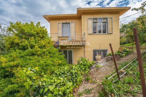 Villa i Sanremo, Imperia, Sanremo - € 390.000 | Ref: 13926 - foto 8