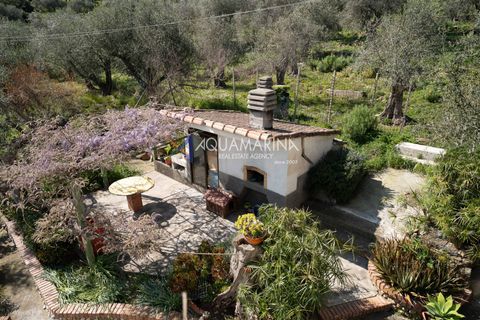 Lejlighed i Taggia, Imperia, Taggia - € 220.000 | Ref: 13932 - foto 29