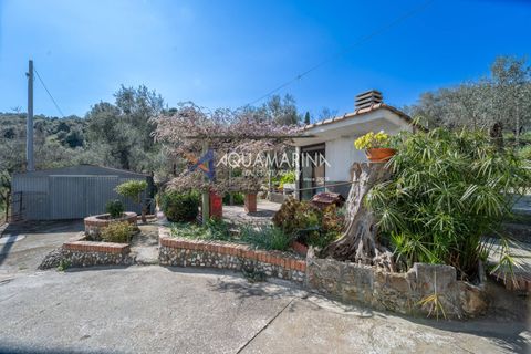 Lejlighed i Taggia, Imperia, Taggia - € 220.000 | Ref: 13932 - foto 35