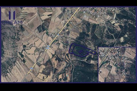Terra a Nuxis, Sud Sardegna, Nuxis - € 90.000 | Ref: F74 - foto 2