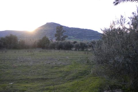 Terra a Nuxis, Sud Sardegna, Nuxis - € 90.000 | Ref: F74 - foto 3