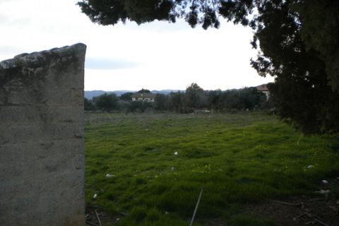 Terra a Nuxis, Sud Sardegna, Nuxis - € 90.000 | Ref: F74 - foto 4