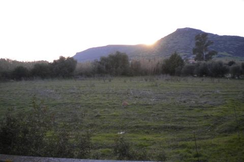 Terra a Nuxis, Sud Sardegna, Nuxis - € 90.000 | Ref: F74 - foto 6