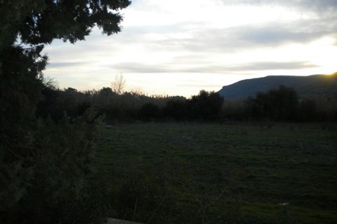 Terra a Nuxis, Sud Sardegna, Nuxis - € 90.000 | Ref: F74 - foto 9