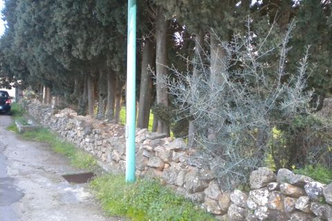 Terra a Nuxis, Sud Sardegna, Nuxis - € 90.000 | Ref: F74 - foto 10