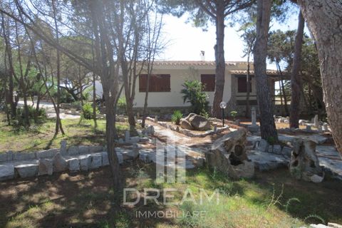 Villa i Villasimius, Cagliari, Villasimius - € 850.000 | Ref: A725 - foto 20