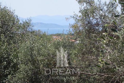 Terra a Quartu Sant'Elena, Cagliari, Quartu Sant'Elena - € 90.000 | Ref: F121 - foto 3