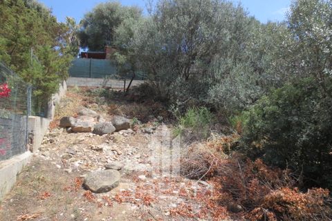 Terra a Quartu Sant'Elena, Cagliari, Quartu Sant'Elena - € 90.000 | Ref: F121 - foto 4