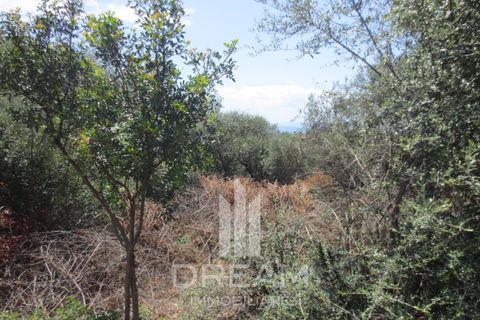 Terra a Quartu Sant'Elena, Cagliari, Quartu Sant'Elena - € 90.000 | Ref: F121 - foto 5