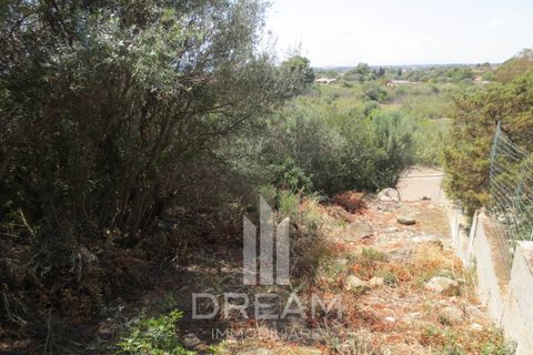 Terra a Quartu Sant'Elena, Cagliari, Quartu Sant'Elena - € 90.000 | Ref: F121 - foto 6