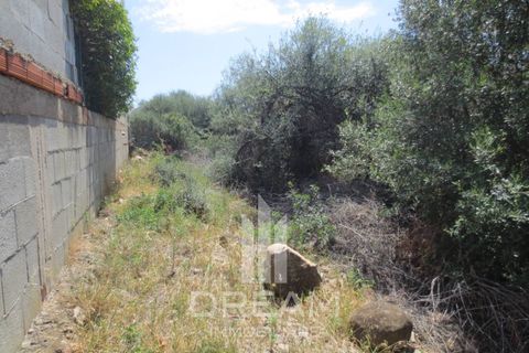 Terra a Quartu Sant'Elena, Cagliari, Quartu Sant'Elena - € 90.000 | Ref: F121 - foto 7