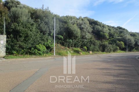 Terra a Quartu Sant'Elena, Cagliari, Quartu Sant'Elena - € 90.000 | Ref: F121 - foto 9