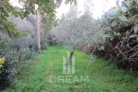 Villa i Guspini, Cagliari, Guspini - € 100.000 | Ref: A787 - foto 28