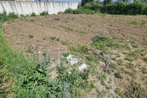 Terra a Marcianise, Caserta, Marcianise - € 73.000 | Ref: 73MR25 - foto 7