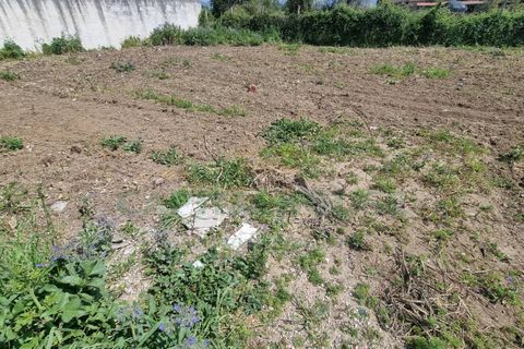 Terra a Marcianise, Caserta, Marcianise - € 73.000 | Ref: 73MR25 - foto 8