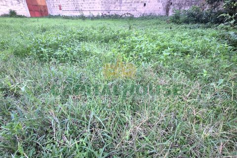 Terra a Capodrise, Caserta, Capodrise - € 94.000 | Ref: 94CD17 - foto 5