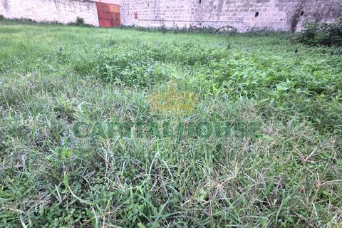Terra a Capodrise, Caserta, Capodrise - € 94.000 | Ref: 94CD17 - foto 6