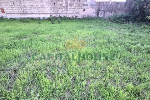 Terra a Capodrise, Caserta, Capodrise - € 94.000 | Ref: 94CD17 - foto 7