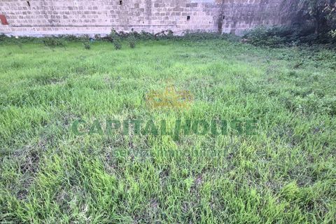 Terra a Capodrise, Caserta, Capodrise - € 94.000 | Ref: 94CD17 - foto 8