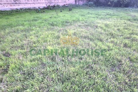 Terra a Capodrise, Caserta, Capodrise - € 94.000 | Ref: 94CD17 - foto 9