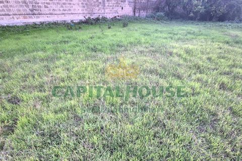Terra a Capodrise, Caserta, Capodrise - € 94.000 | Ref: 94CD17 - foto 10