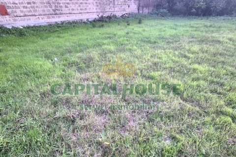Terra a Capodrise, Caserta, Capodrise - € 94.000 | Ref: 94CD17 - foto 11