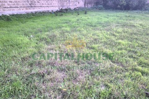 Terra a Capodrise, Caserta, Capodrise - € 94.000 | Ref: 94CD17 - foto 12