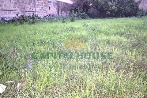 Terra a Capodrise, Caserta, Capodrise - € 94.000 | Ref: 94CD17 - foto 13
