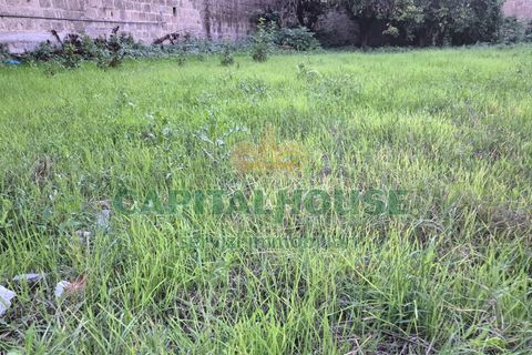 Terra a Capodrise, Caserta, Capodrise - € 94.000 | Ref: 94CD17 - foto 14