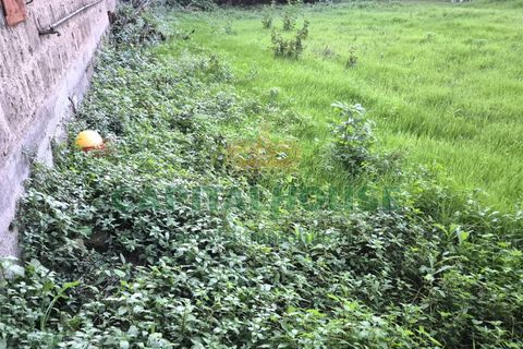 Terra a Capodrise, Caserta, Capodrise - € 94.000 | Ref: 94CD17 - foto 20